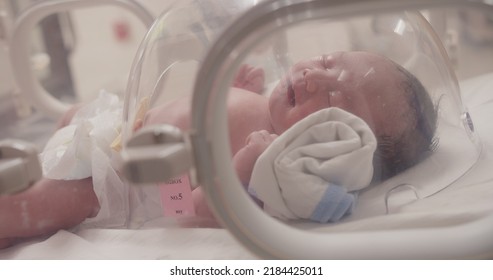 Closeup Little Newborn Baby Infant In Incubators For Newborns, Newborn Baby Having The The Breathing Problem After Birth, Newborn In NICU, Neonatal Intensive Care Unit, Healthcare