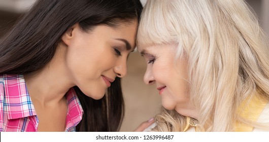 Close-Up Of Lovely Brunette Daughter And Senior Smiling Mother Touching Foreheads. Mother Love.