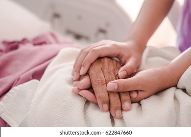 Closeup Of Loving Couple Holding Hands While Sick , Hand Of Young Woman Touching Old Woman In Hospital