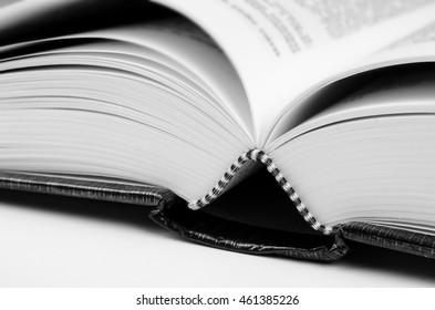 Closeup low angle take of an open book