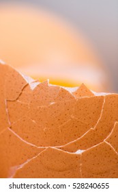 Closeup macro cracked eggshell extreme
