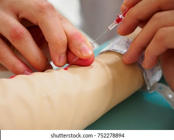 Close-up Macro Detail Of A Physician In Training Inserting A Large Bore IV Cannula Into The Cephalic Vein Of The Arm Of A Dummy With Patient Tags. Healthcare And Medical Education Concept.