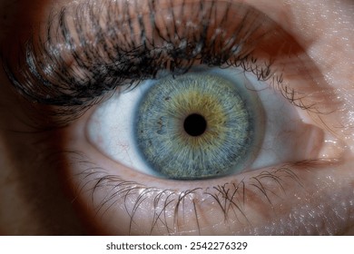 Close-up macro image of a human eye with long eyelashes, featuring a vibrant green and yellow iris. High-resolution photograph highlighting the detailed textures and natural colors of the eye.