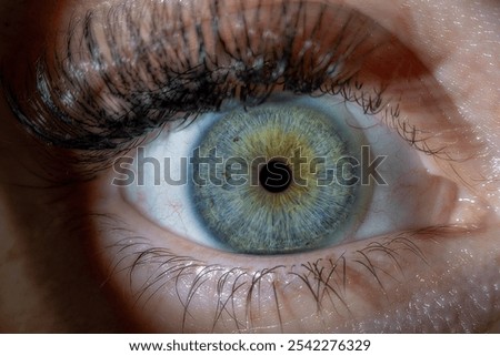 Close-up macro image of a human eye with long eyelashes, featuring a vibrant green and yellow iris. High-resolution photograph highlighting the detailed textures and natural colors of the eye.