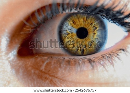 A close-up macro image of a human eye with a striking yellow iris, featuring a unique blend of colors. The photo also highlights long, detailed eyelashes, captured in high resolution.

