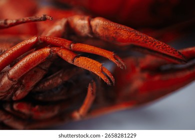 A close-up macro image of the underside of a cooked lobster, highlighting its segmented legs and texture, placed on a white background with a text area.
