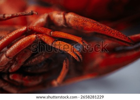 A close-up macro image of the underside of a cooked lobster, highlighting its segmented legs and texture, placed on a white background with a text area.