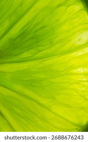 Close-up macro of lemon texture,Macro close up surface texture Juicy slice of lime,Macro lemon texture,Lemon slice macro texture. Lemon citrus fruit background.