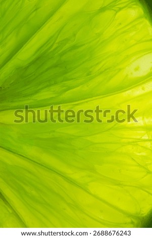 Close-up macro of lemon texture,Macro close up surface texture Juicy slice of lime,Macro lemon texture,Lemon slice macro texture. Lemon citrus fruit background.
