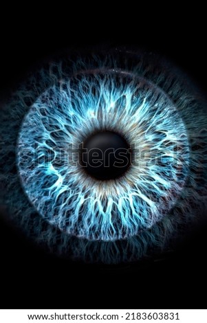 Close-up (macro photo) of the iris of a blue color eye, ideal for background or texture.