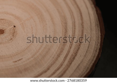 Close-up macro photography of tree ring growth patterns in natural wood cross-section showing annual growth rings and organic texture details
