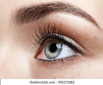 Closeup macro portrait of female face. Human woman eye with day beauty makeup and long natural eyelashes. Girl with perfect skin and freckles.