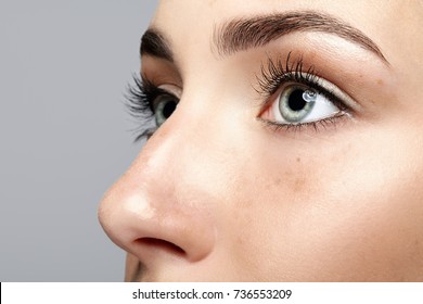 Closeup Macro Portrait Of Female Face. Human Woman Open Eyes With Day Beauty Makeup. Girl With Perfect Skin And Freckles.