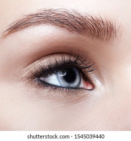 1000 Eyelash Stock Images Photos Vectors Shutterstock