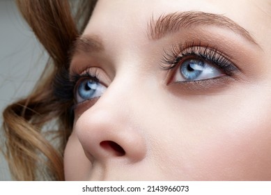 Closeup Macro Shot Of Blue Human Female Eyes. Woman With Natural Vogue Face Beauty Makeup.