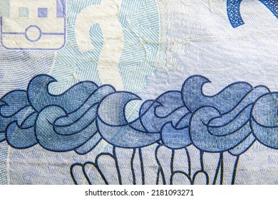 Close-up Macro Shot Of Brazilian Money Bill Beautiful Crosshatch Drawing