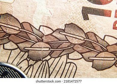 Close-up Macro Shot Of Brazilian Money Bill With Beautiful Crosshatch Drawing