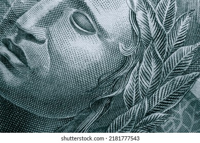 Close-up Macro Shot Of Brazilian Money Bill Showing A Beautiful Drawing Of A Face With Crosshatch Texture. This Picture Works As A Background Or Wallpaper