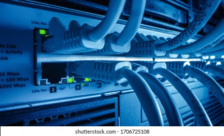Close-up Macro Shot: Ethernet Cables Connected to Router Ports with Blinking Lights. Telecommunications RJ45 Device Connectors Plugged into Modem Hubs. Secure Data Center.