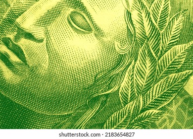 Close-up Macro Shot Of A Green And Yellow Brazilian Money Bill Showing A Beautiful Drawing Of A Face With Crosshatch Texture. This Picture Works As A Background Or Wallpaper