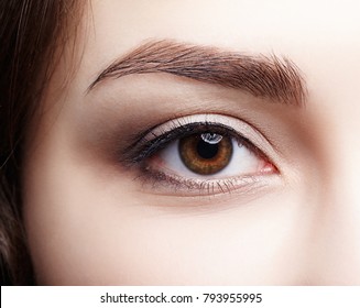 Closeup macro shot of  human brown female eye. Woman with natural nude face beauty makeup. Girl with perfect skin