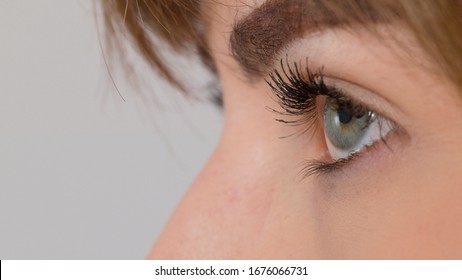 人間目 Images Stock Photos Vectors Shutterstock