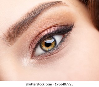 Closeup macro shot of  human female eye. Woman with natural evening vogue face beauty makeup. Girl with perfect skin and  pink  eyes shadows.