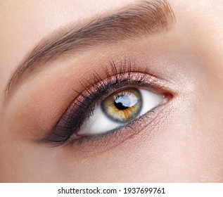 Closeup macro shot of  human female eye. Woman with natural evening vogue eye beauty makeup. Girl with perfect skin and  pink  eyes shadows.