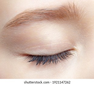 Closeup Macro Shot Of Human Teenager Female Closed Eye. Woman With Natural Face Beauty Makeup.