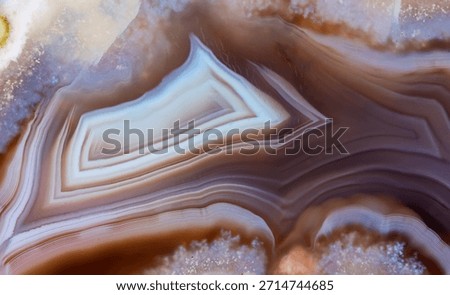 A close-up macro texture of a grey agate mineral, showing its natural layered patterns and crystalline details