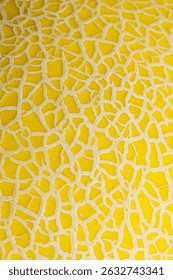 Close-up macro texture of melon peel,Bright yellow natural vegetable texture of melon peel close-up for designer background 