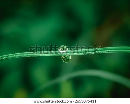 Close-up macro of two dew drops clinging to a green grass blade, reflecting natural surroundings. The image captures freshness, balance, and serenity in a lush, green environment.