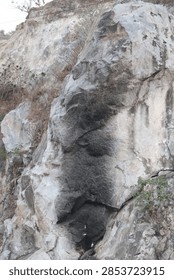 Close-Up Macro View of Fire Split Stone Cliff Surface Displaying Human Face Silhouette