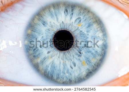 Close-up macro view of a human blue eye with a detailed iris and pupil