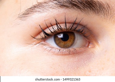 A closeup and macro view on the healthy eye of a young caucasian girl with bright white eyeball and marbled brown iris, healthy and attractive.