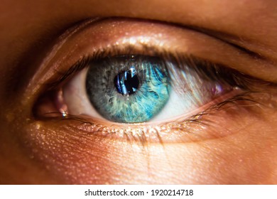 Close-up makro shot of a beautiful blue eye