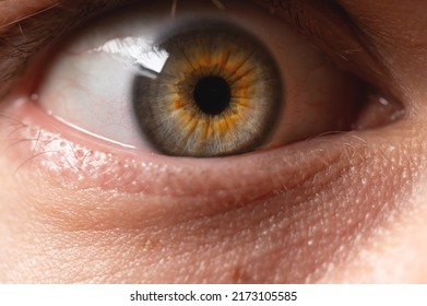 Close-up Of A Male Frightened Human Eye In Grey-green Red Color