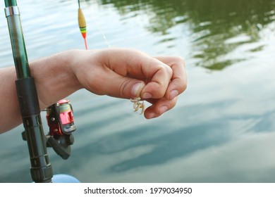 Close-up of the male hand of a fisherman, stringing maggot on the hook of a fishing rod against the backdrop of a blue river. The theme is bait for fish carp, bream, perch, crucian carp - Shutterstock ID 1979034950