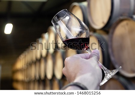 Closeup male hand with glass of red wine on background of cellar with wooden oak barrels stacked in straight rows in order in old winery, vault. Concept professional degustation, winelover, sommelier 