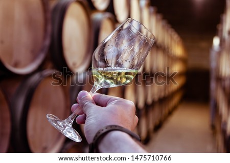 Closeup male hand with glass of white wine on background wooden oak barrels stacked in rows in order, old cellar of winery, vault. Concept professional degustation, winelover, sommelier trip