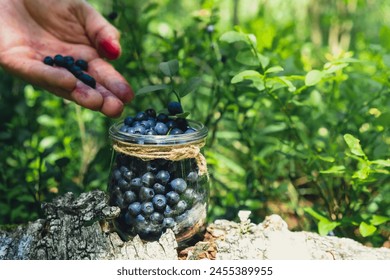 Close-up of male hands picking Blueberries in the forest with green leaves. Man Harvested berries, process of collecting, harvesting berries into glass jar in the forest. Bush of ripe wild blackberry - Powered by Shutterstock