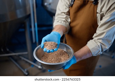 Closeup of male hands in rubber gloves holding wheat grains - Powered by Shutterstock