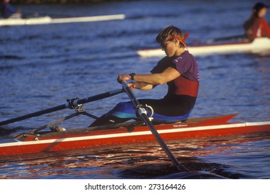 Close-up Of Male Rower, Charles Regatta, Cambridge, Massachusetts