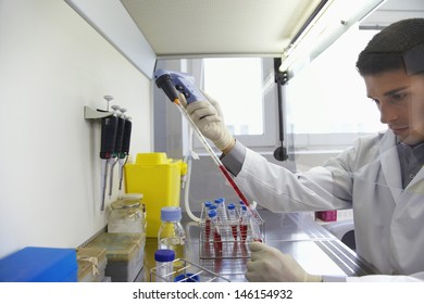 Closeup Of A Male Scientist Filling Test Tube With Hitech Pipette In Laboratory