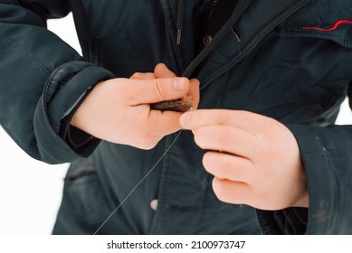 Close-up Of Man Caught Fish On Hook On Winter Fishing Trip. Fisherman Holding Small Perch Outdoors.