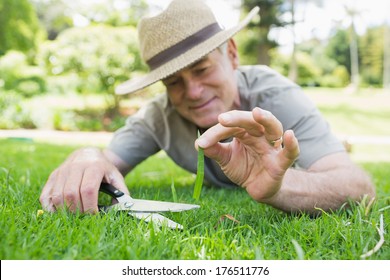 Close-up Of A Man Cutting Grass With Scissors