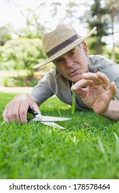 Close-up Of A Man Cutting Grass With Scissors