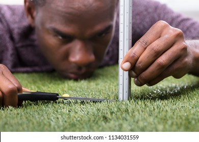 Close-up Of A Man Cutting Green Grass Measured With Ruler
