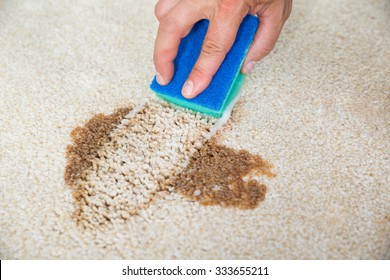 Closeup of man hand cleaning stain on carpet with sponge