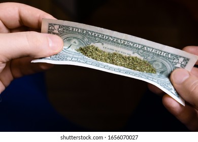 Closeup of man hands holding legalized cropped marijuana buds in dollar bill.  